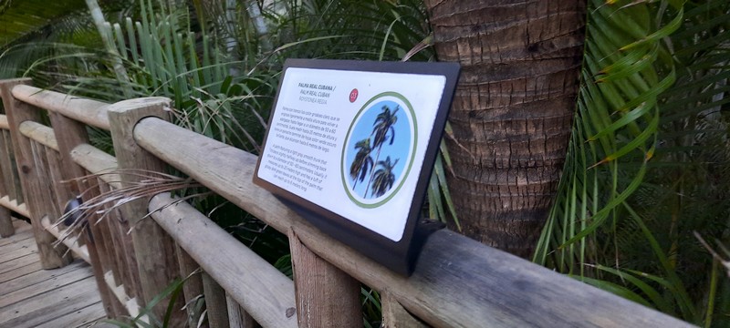 Señalética Vidanta